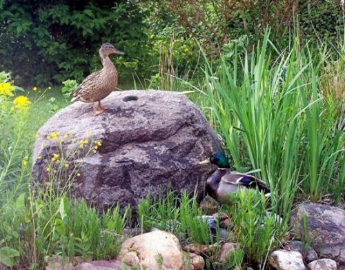 Tiere am Teich