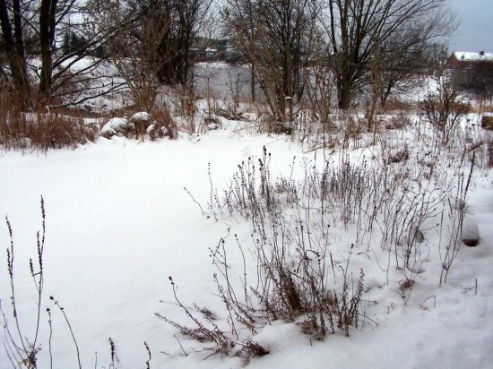 unser Teich heute