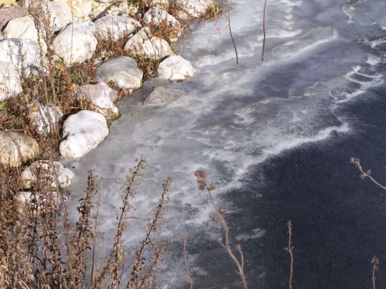 unser Teich heute