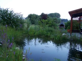 zu Gartenteich